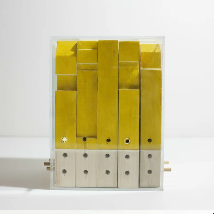 Model elevation, yellow